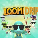 LoomiSim