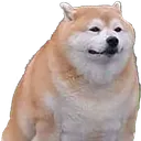 Post This Big Dog