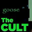 Honk cult The 3rd