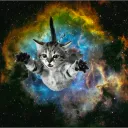 Meowdz' Gaming Server