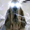 Discovery icon for Storm Discord server