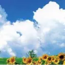 ライス