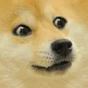 Dogecoin Pump
