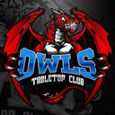 Owls Tabletop Club Discord Server Icon