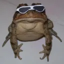 Frogtopia's icon