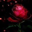 𝓣𝓱𝓮 𝓦𝓸𝓻𝓵𝓭 𝓞𝓯 𝓡𝓮𝓭