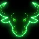BULL RUNNERS