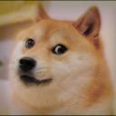 Doge and Chill