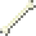 骨鯖