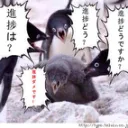 進捗部屋