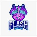 Flashcord