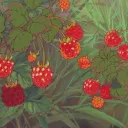 ↳˳⸙ Kpop Community Discord Server Icon