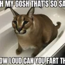 The Pissbabys