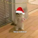Alekei Server´s ⛄🎁