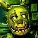 The Afton Family