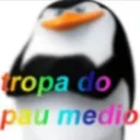 tropa do pau medio