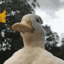 Degenerate Republic Discord Server Icon