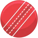 Crypto Cricket