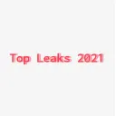 Top Leaks 2021