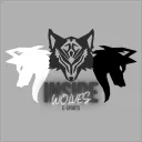 Inside Wolves e-Sports