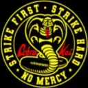 🐍Cobra Kai Server🐍