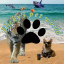 Flicky’s Pet World's icon