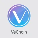VeChain Pump Squad