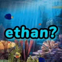 Ethan's Equarium