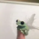 reino dos sapos