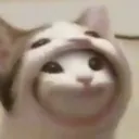 Idk what this is