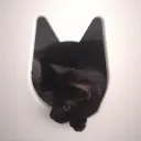 Annelieses KatzenCafé