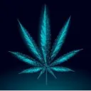 🪴Weed Growing DB Clan🪴