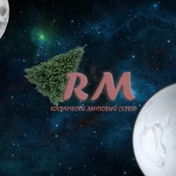 RM — мониторинг Discord сервера, статистика и рейтинг