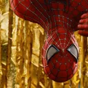 🕷Tropa do Miranha🕸