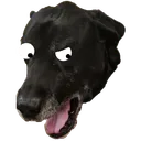 The Official DudeVsDawg Complainatorium