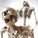 The Skeleton Smp (Max's Smp)