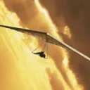 Hang-gliding Gang