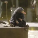 Real Housewives of Azkaban✨'s icon