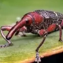 Johnathan's Hub Discord Server Icon