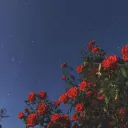 •~𝕸𝖔𝖔𝖓'𝖘 𝕷𝖆𝖎𝖗~•
