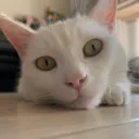 謎の遊び場