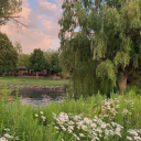 'â€¢.Â¸â™¡ ðšð©ð«ð¢ðœð¢ð­ð² â™¡Â¸.â€¢' Server Icon