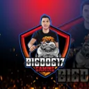 Bigdog17gaming's server