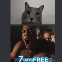 Рат icon