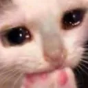 123skittle123 twitch dicord sever