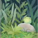 frogs