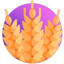 Fields Of Aaru