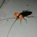oiiiiiii nao sei