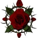 JoJo:Crimson Roses
