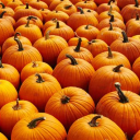 Pumpkin's Lounge
